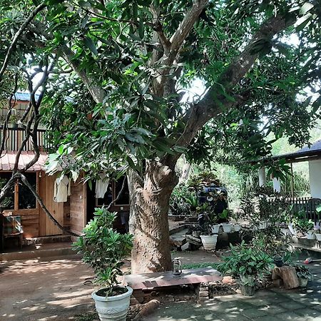 Serenity House In دامبولا المظهر الخارجي الصورة