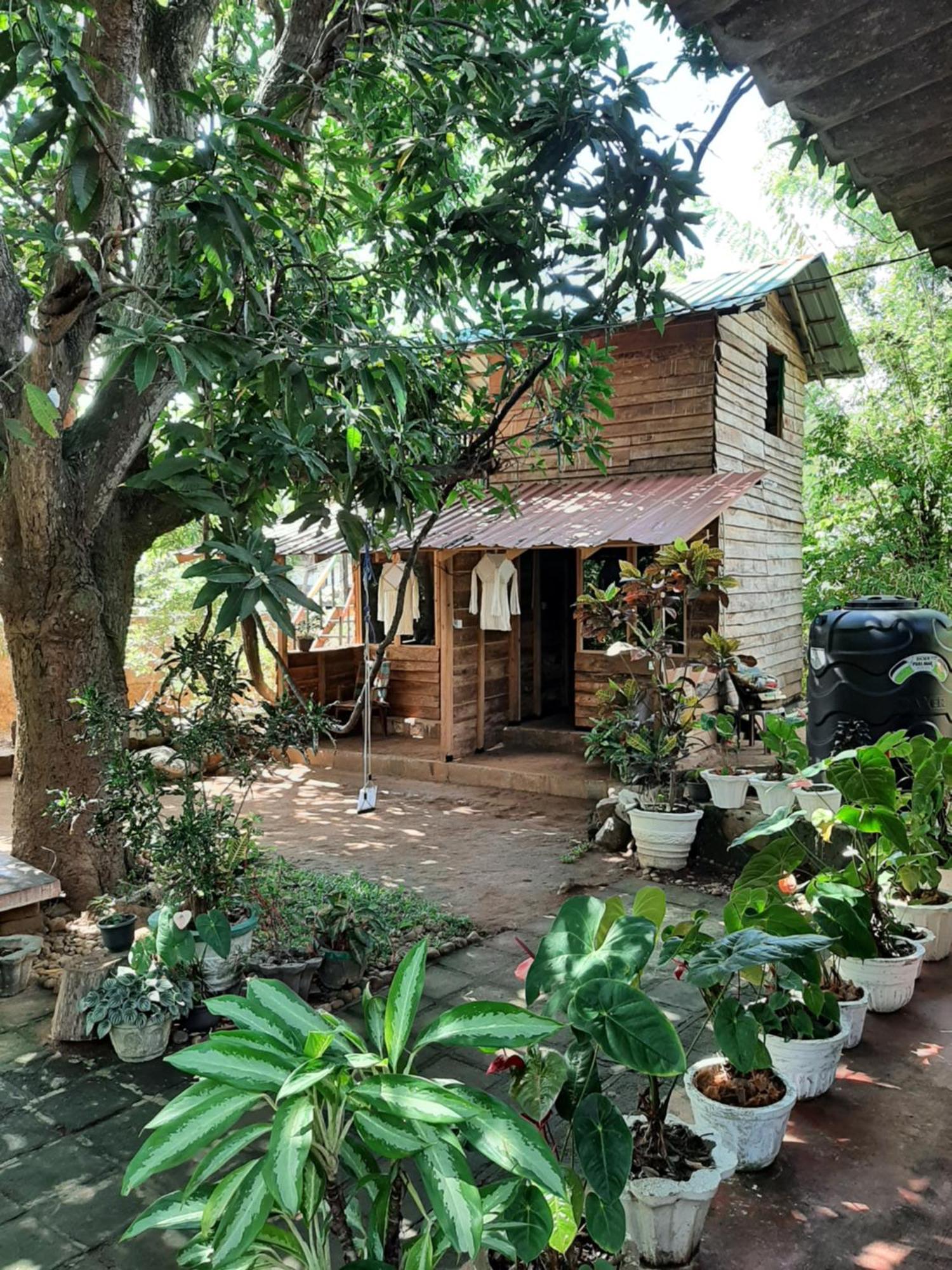 Serenity House In دامبولا المظهر الخارجي الصورة