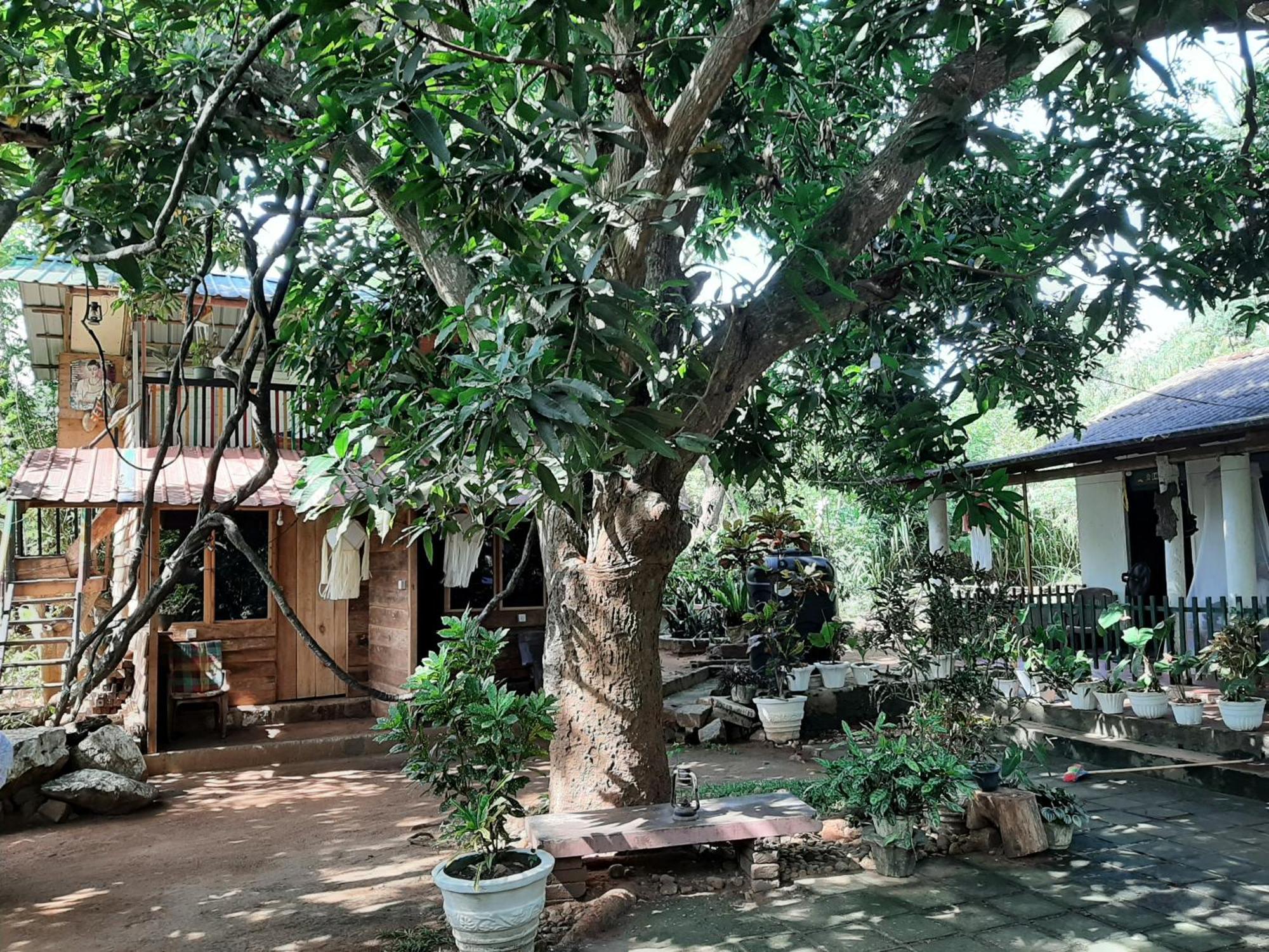 Serenity House In دامبولا المظهر الخارجي الصورة